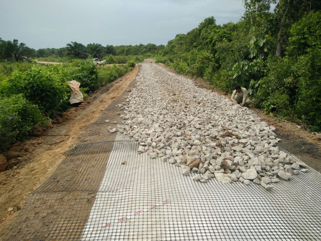 geogrid